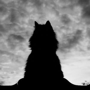 Meet your Posher, Denice